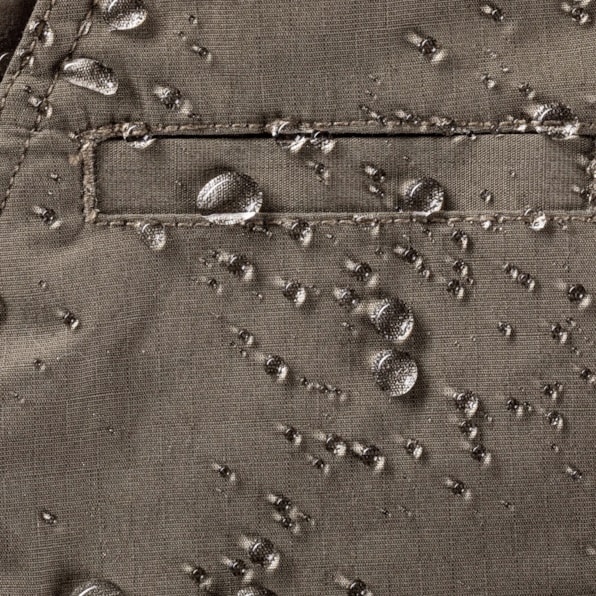 image_1f0a8cc2-f1de-4033-80ad-a7f98ee391ca