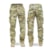 MULTICAM