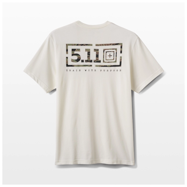 image_62812b16-5bdb-45aa-b603-c7c4970cb38e