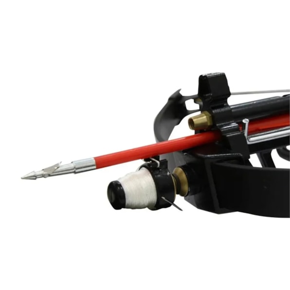 image_7c13cffa-d28d-4ec2-995f-0428fa14e3e9