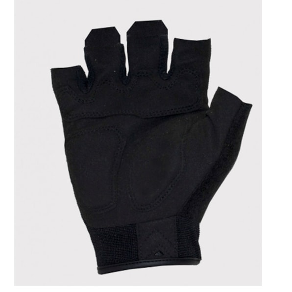 image_2356c7d7-c409-454d-842b-1dd8a4f18938